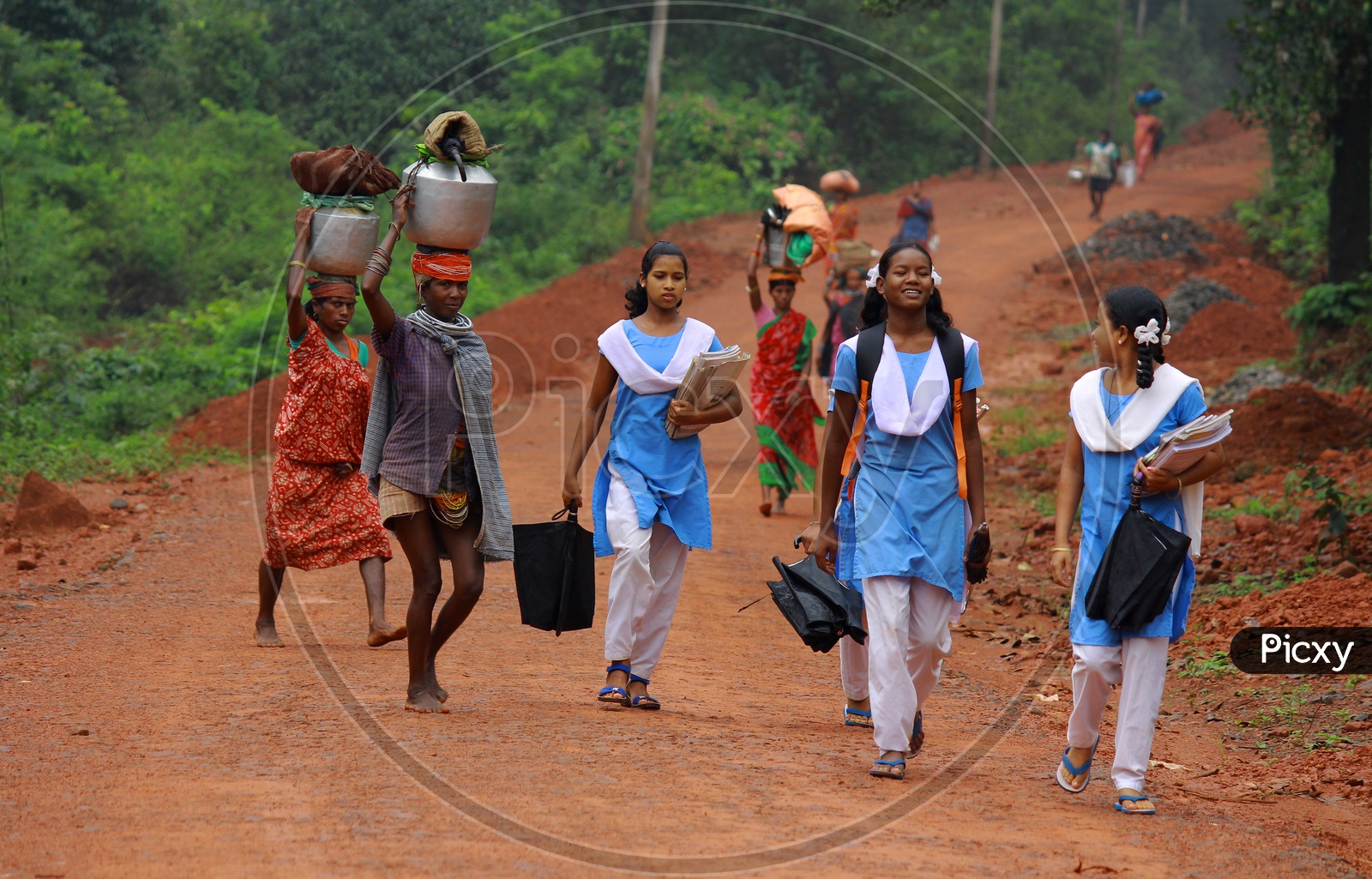Tribal Girls going to School