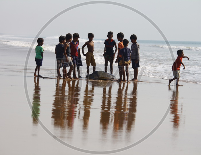 Children playing with Olive Ridley Sea Turtles