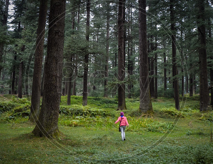 Young Woman Exploring Forest
