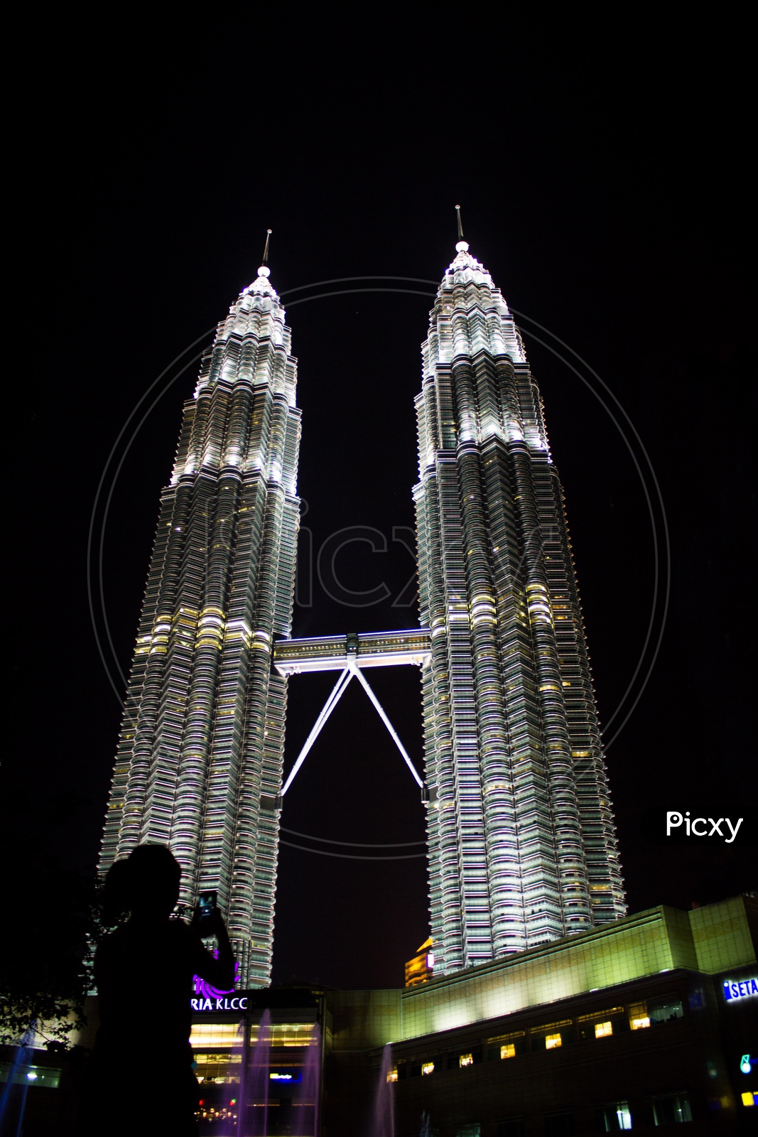 Petronas Twin Tower