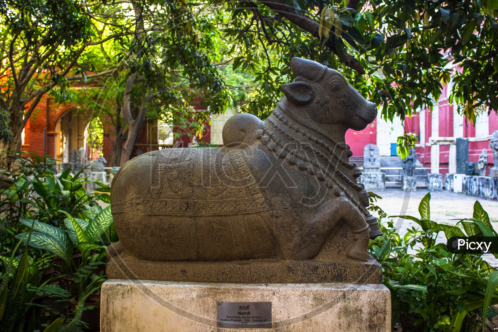 Nandi Statue at Government Museum, Chennai