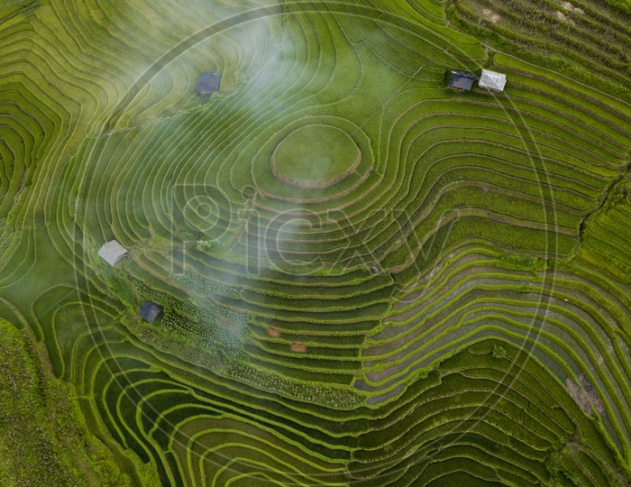 Step Farming in Vietnam
