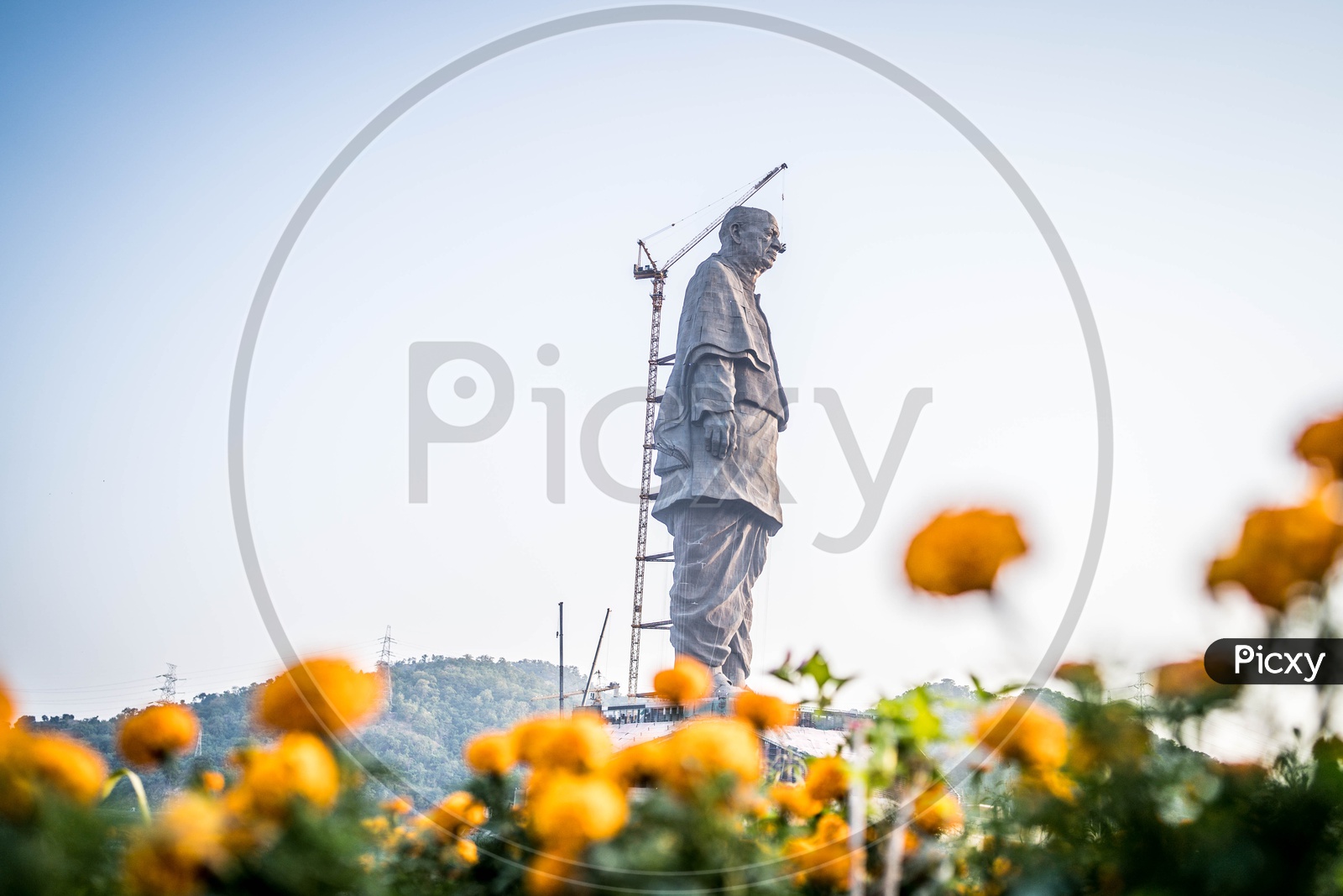 Valley of Flowers  at  Statue of Unity
