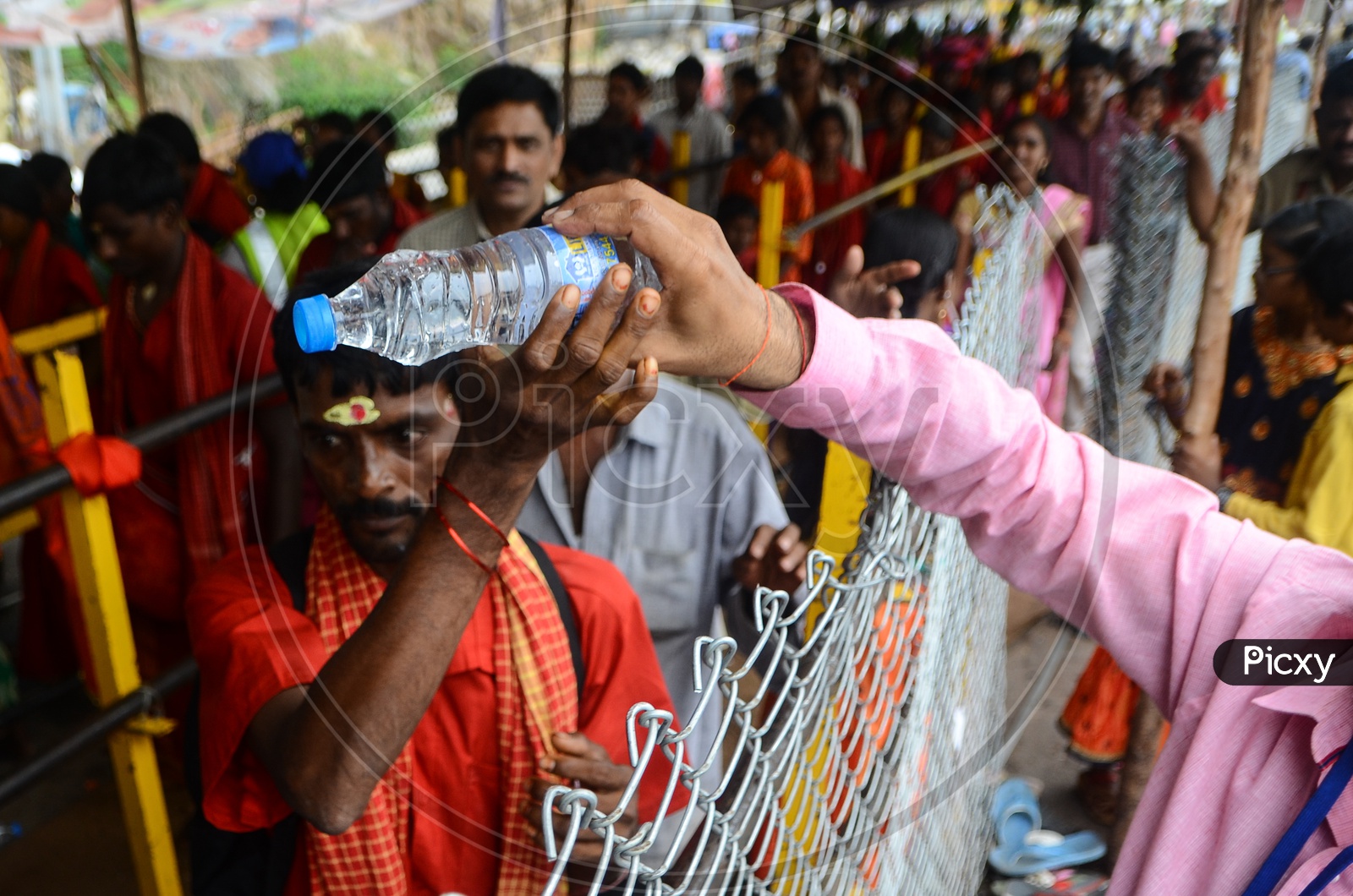 free Water bottle distribution