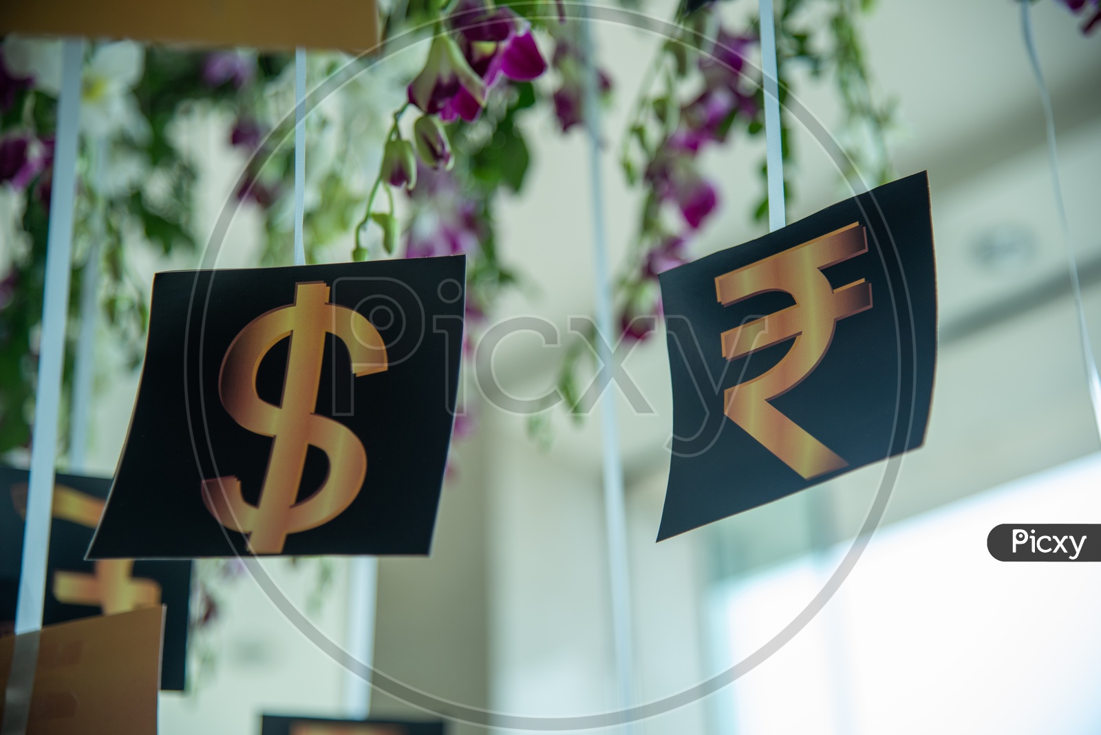 $ Dollar and Indian national Rupee Symbol