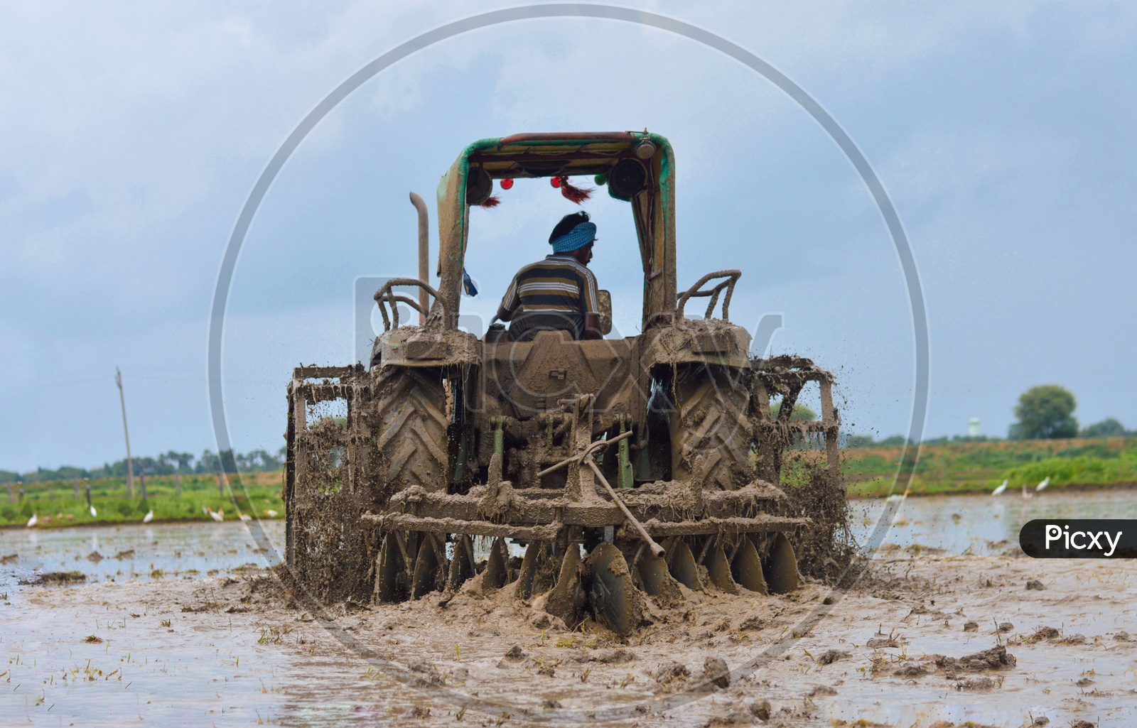 Farmer ploughing a rice paddy field with a tractor