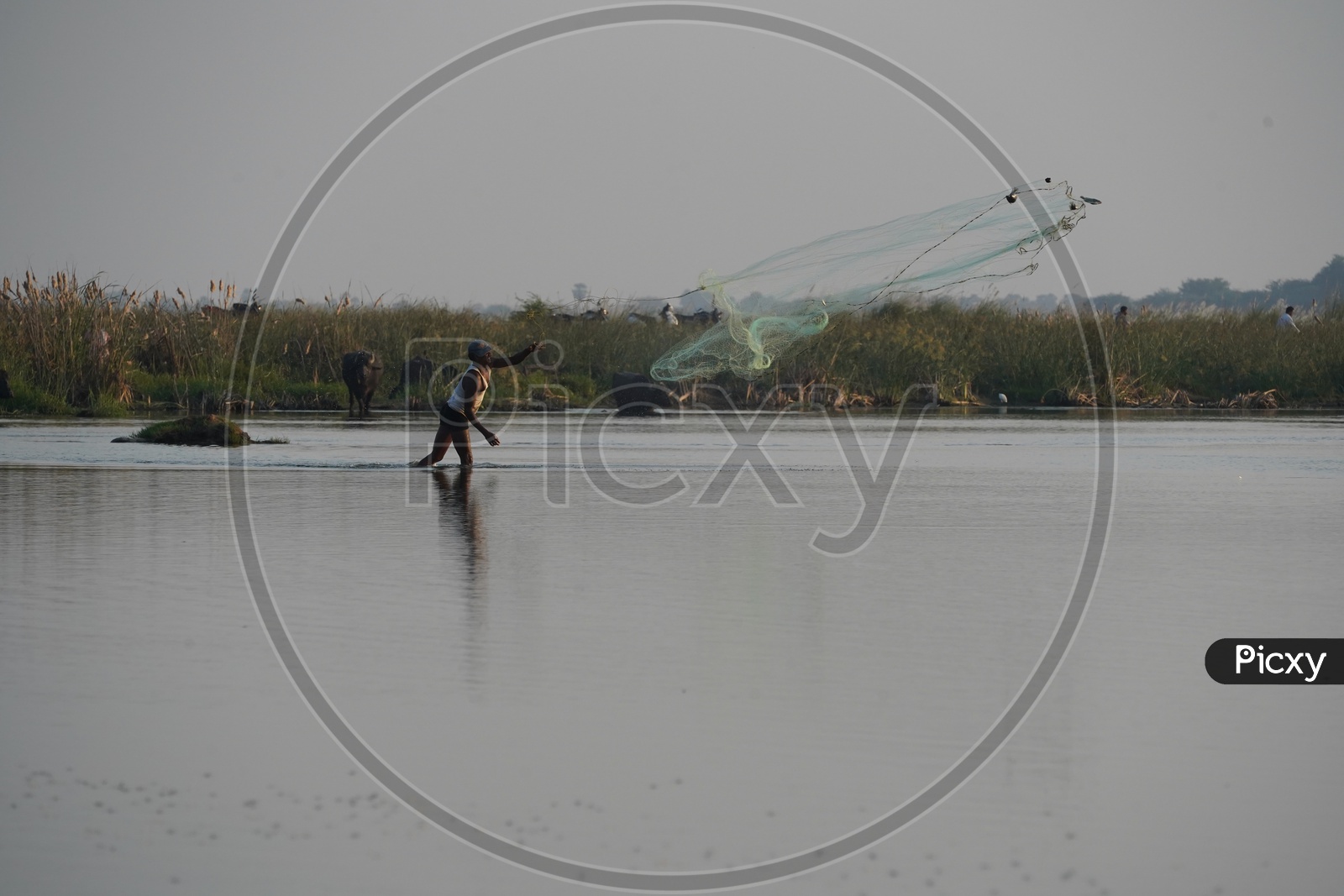 Fisherman throwing Fishing Net