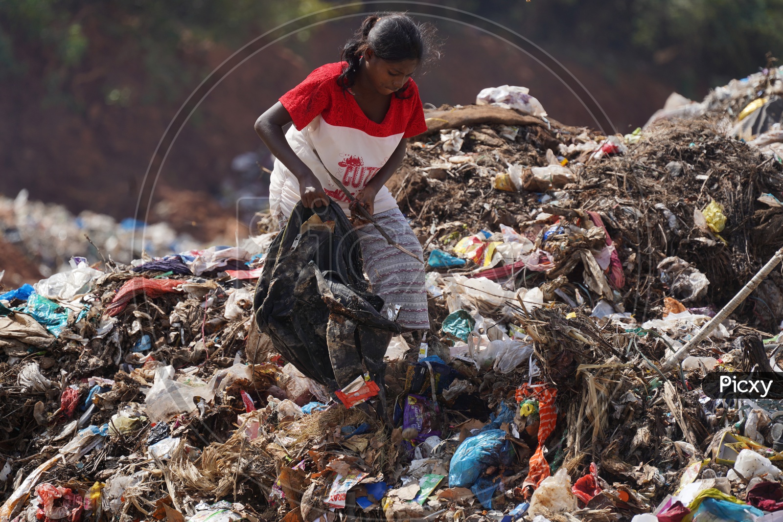 Girl in Pathapadu Dumping Yard