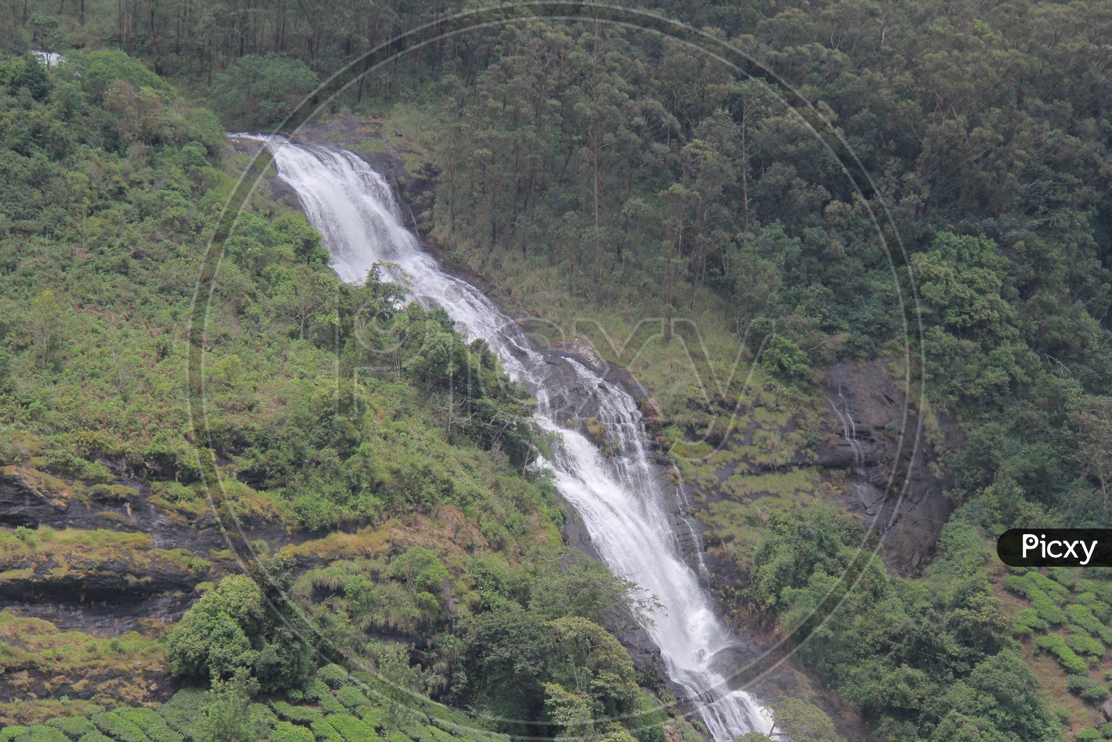 Waterfalls in Munnar