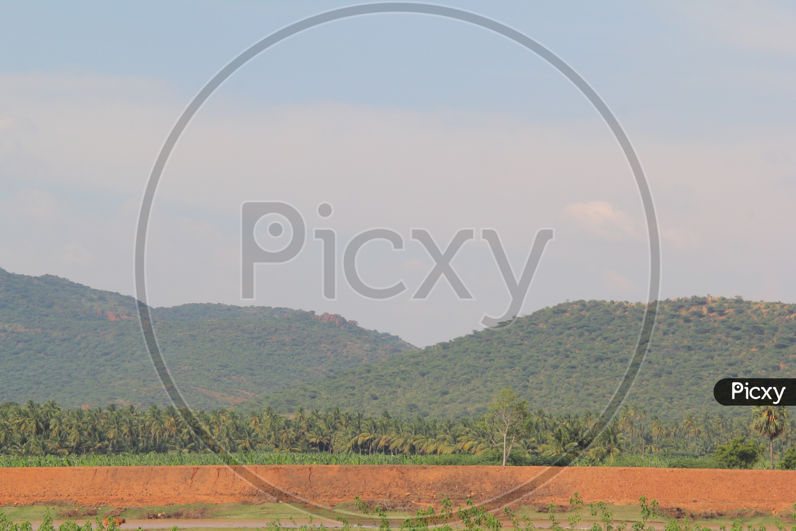 Beautiful Landscape of Munnar Mountains