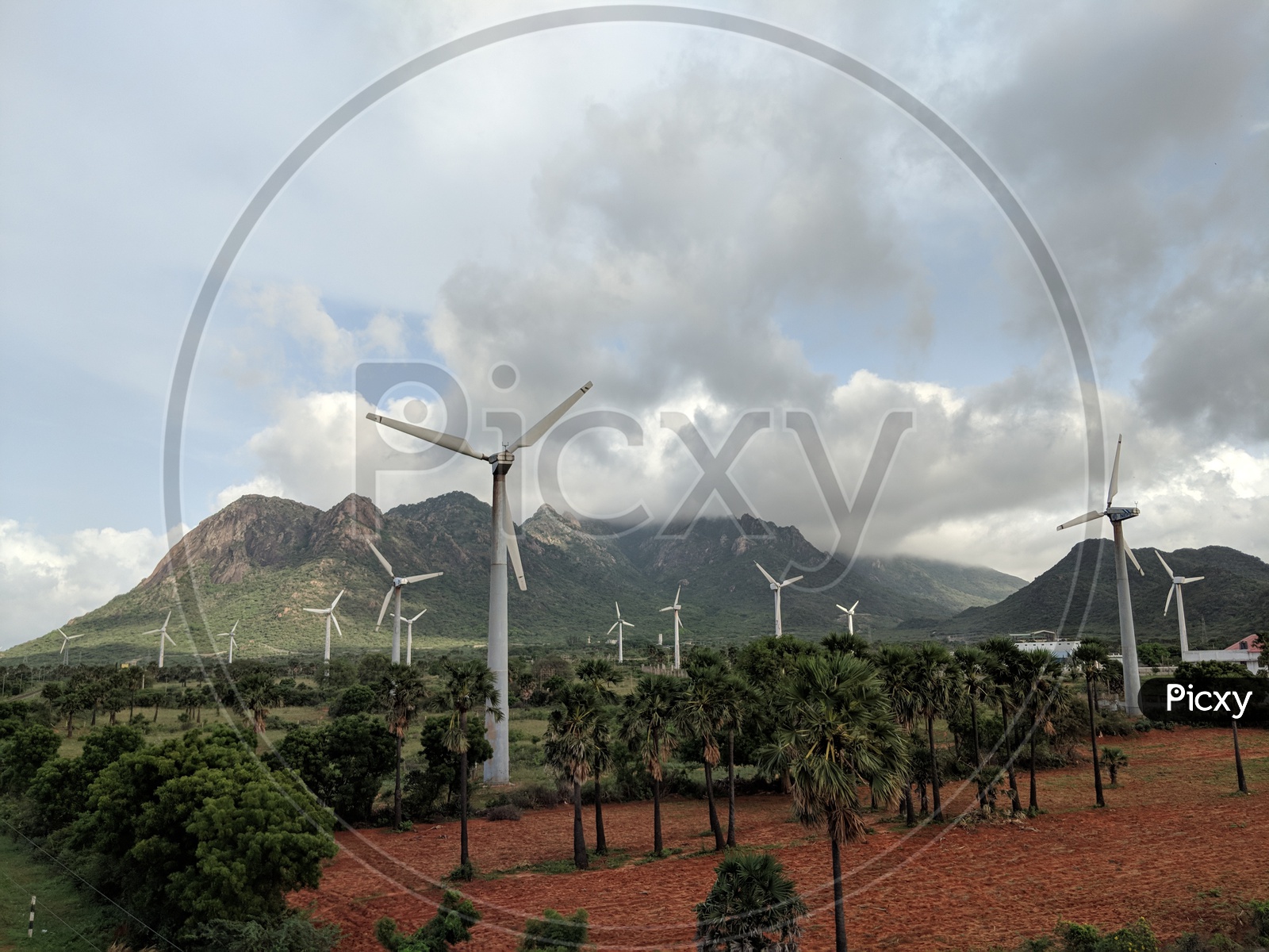 Wind Power Or Wind Mills in Tamil Nadu