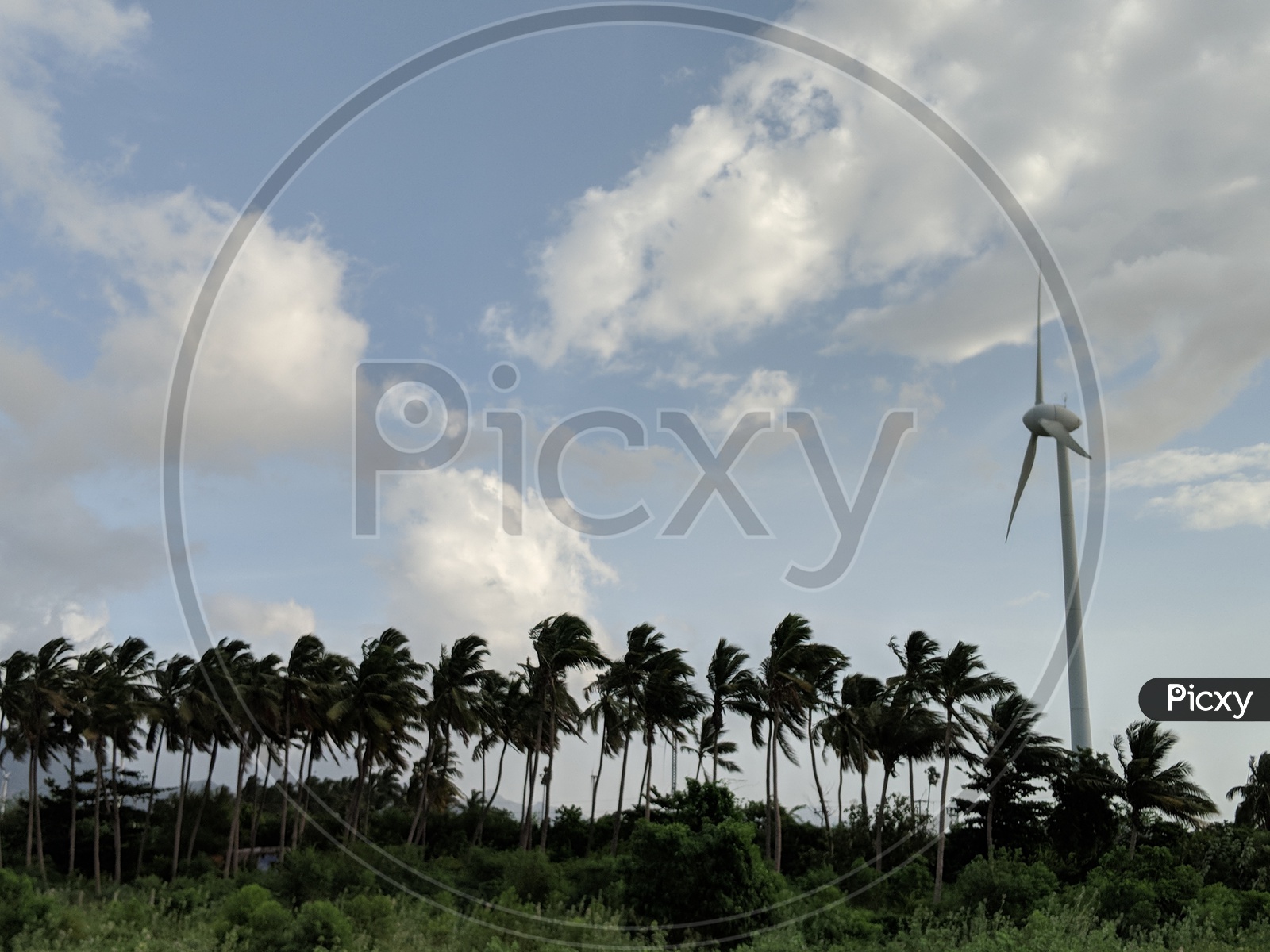 Wind Power Or Wind Mills in Tamil Nadu