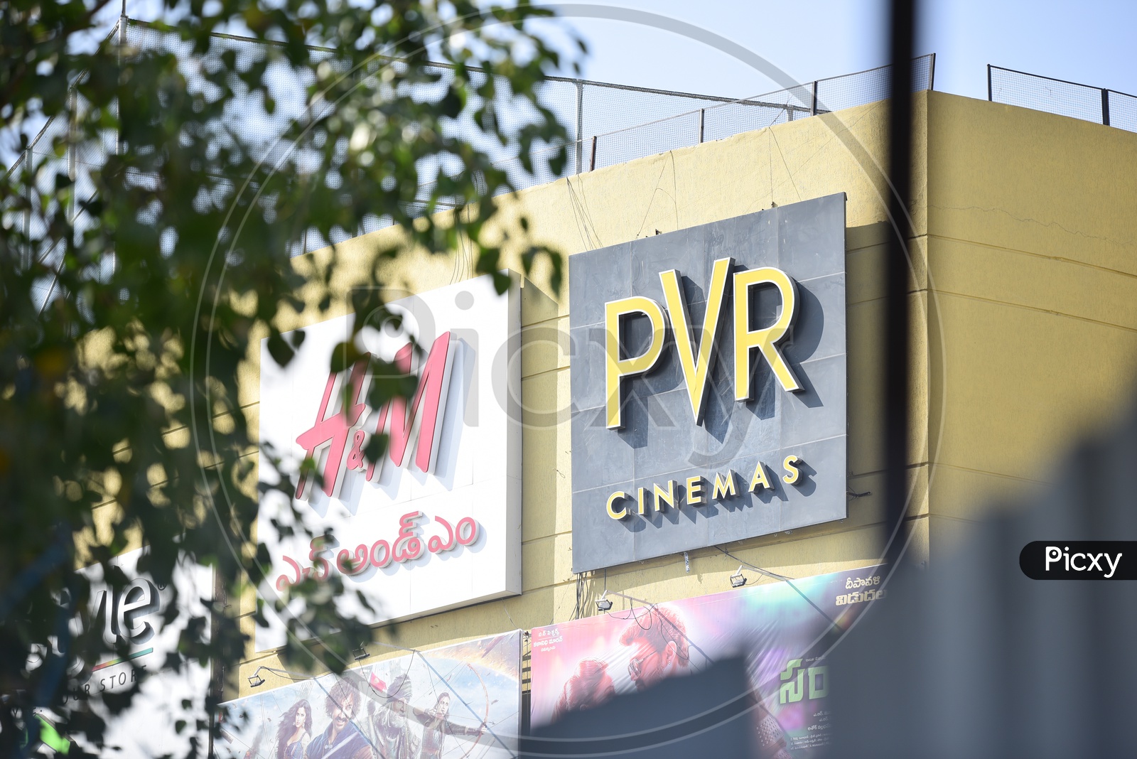 PVR Cinemas Board