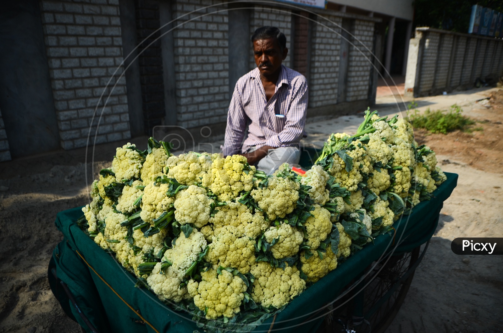 Street vendor, vegetables