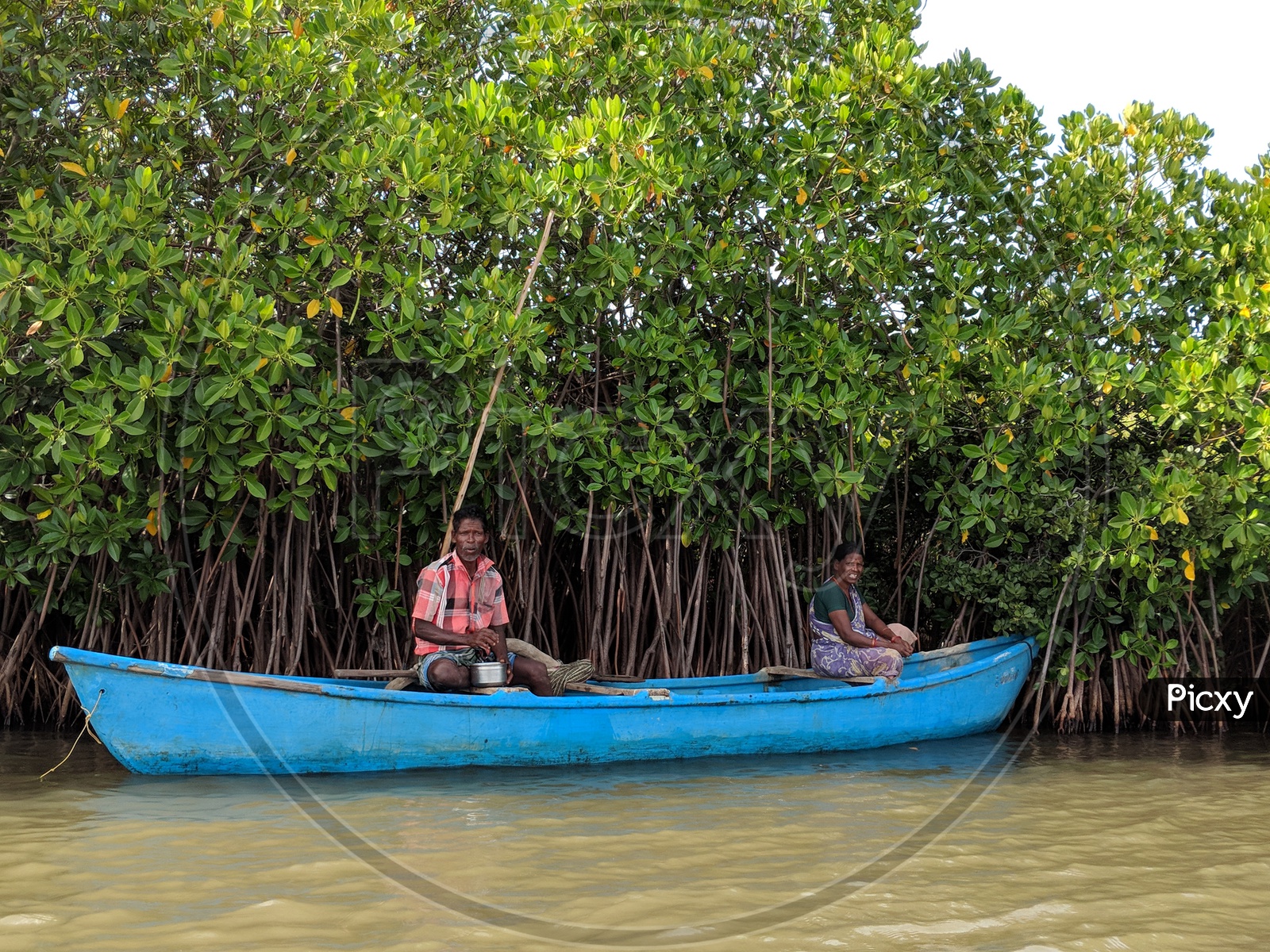 Fisherman in a Boat at Pichavaram Mangrove Forest