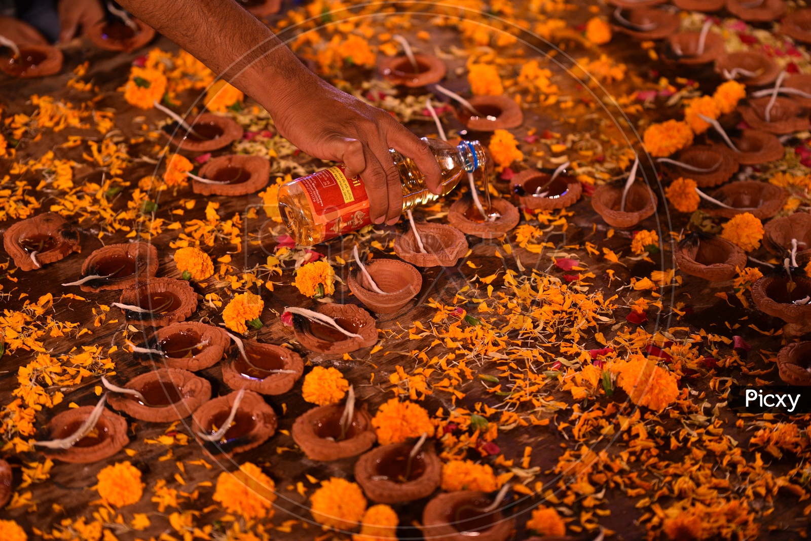 Diyas being filled with Pooja Oil