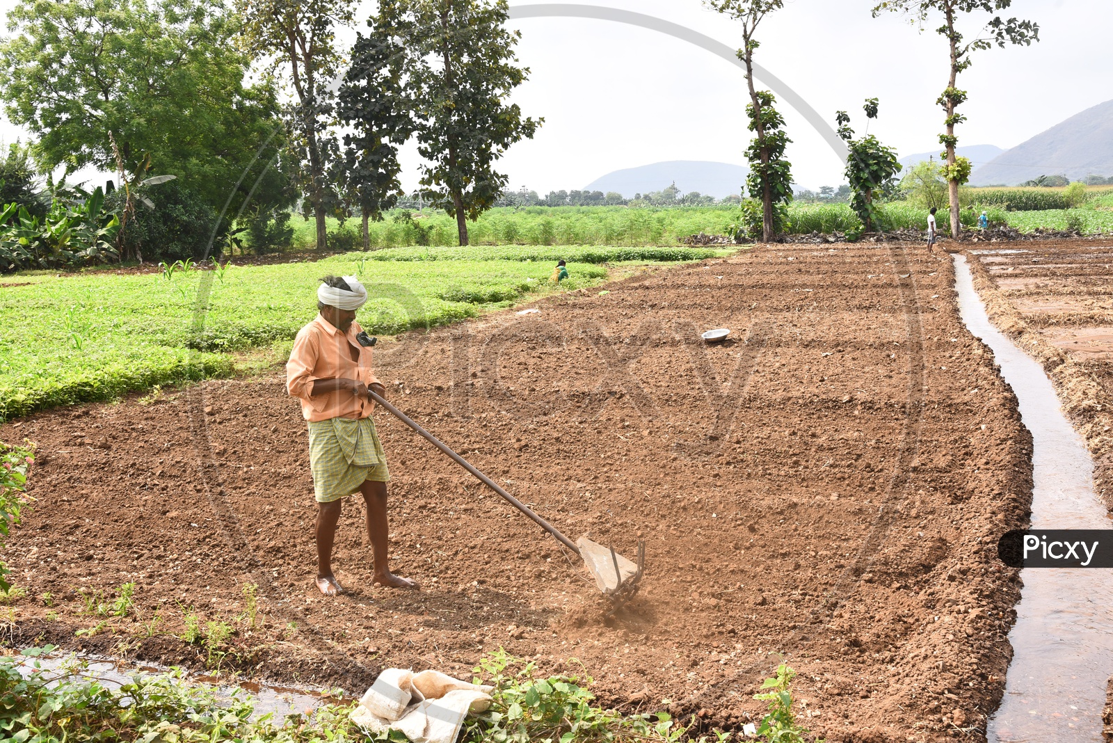 Image of man plowing a field with a hand plow hr496945 picxy
