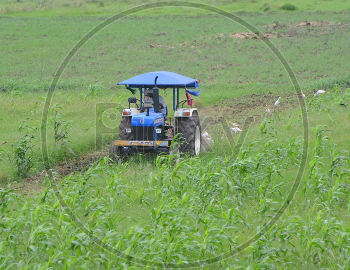 Farmer is  Farming with New Holland Tractor