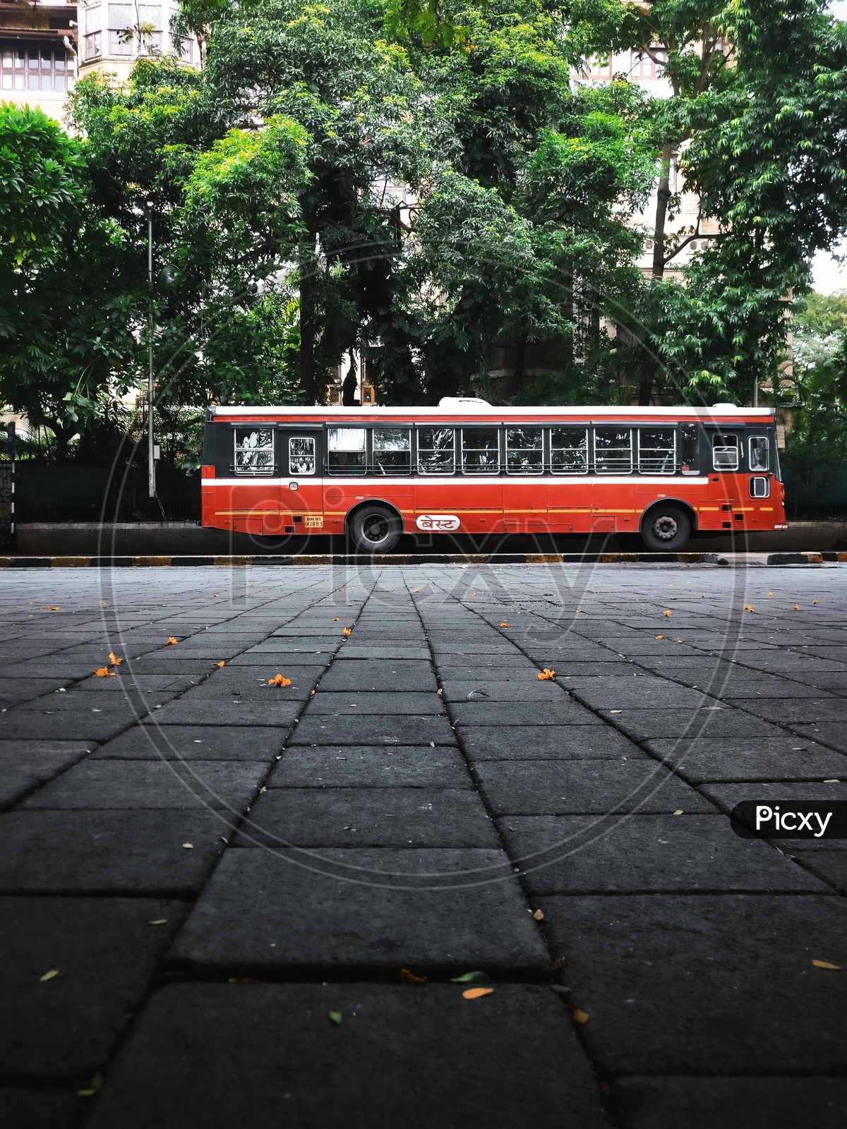 BEST Bus in Mumbai