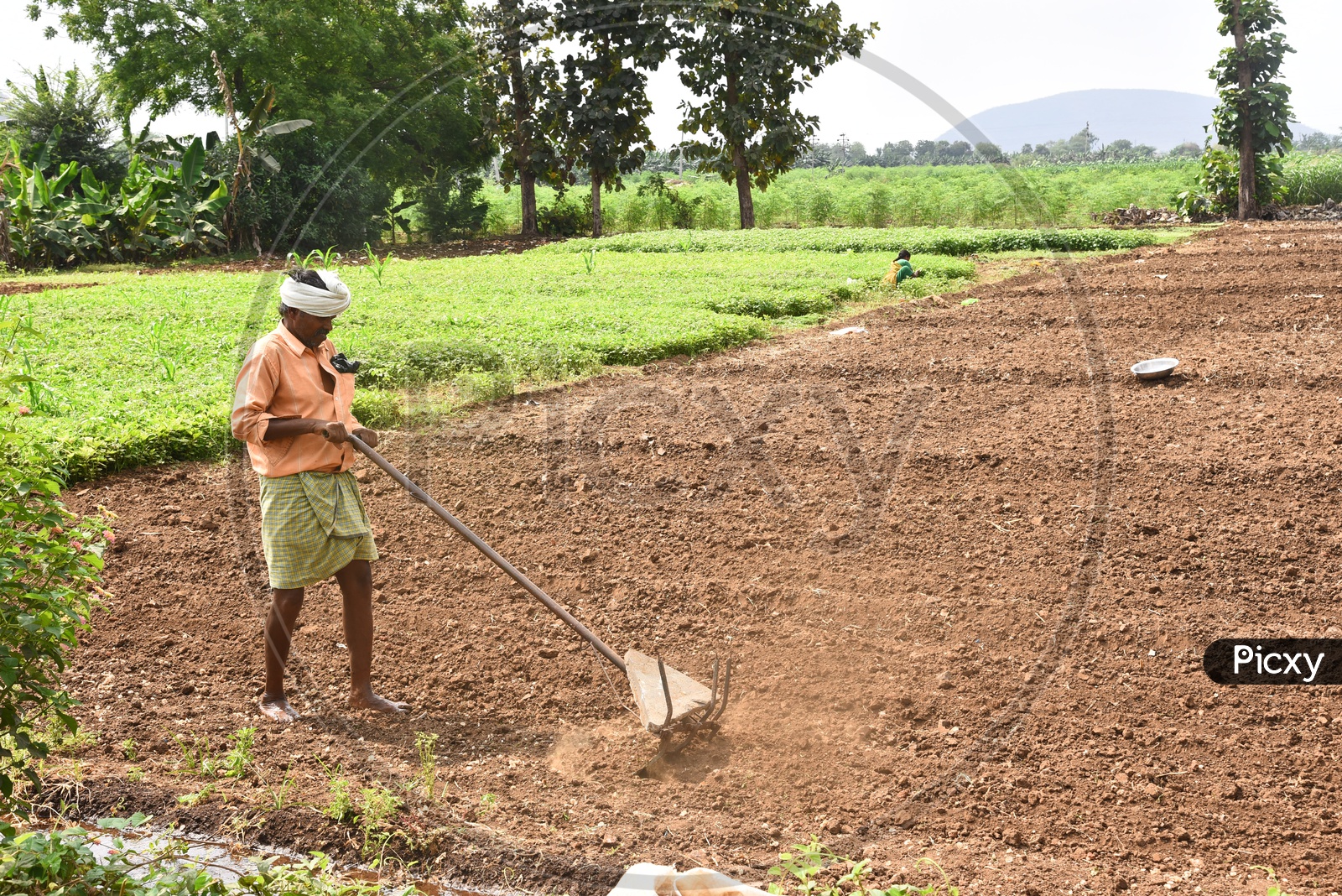 Image of man plowing a field with a hand plow ck134976 picxy