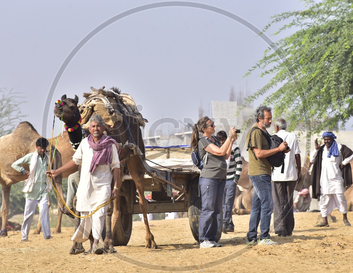 Visitors at Pushkar Camel Fair, 2018