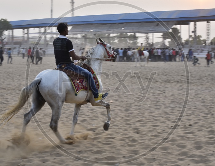 Horse Race at Pushkar Camel Fair, 2018