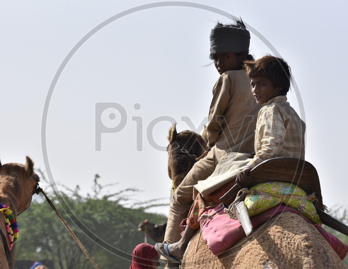 Pushkar Camel Fair, 2018