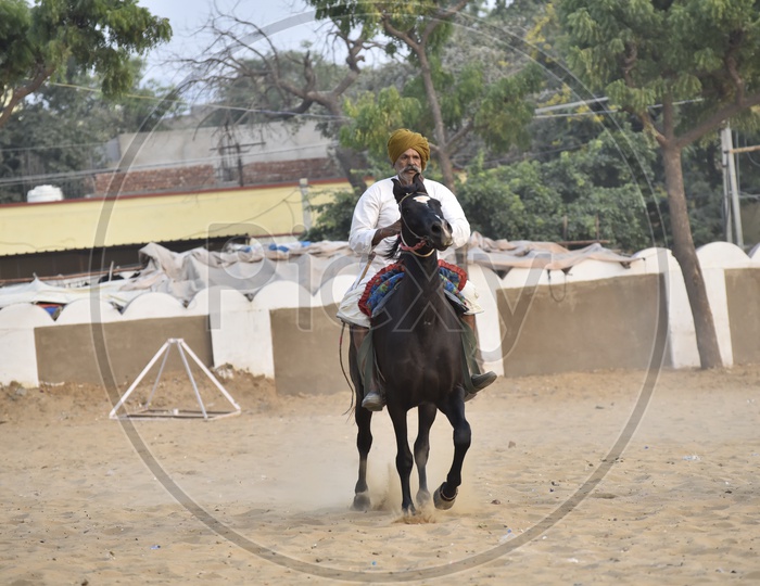 Horse race at Pushkar Camel Fair, 2018