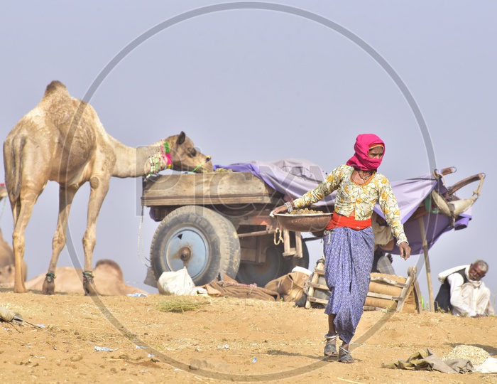 Woman at Pushkar Camel Fair, 2018