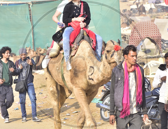 Foreigner enjoying the Camel ride at Pushkar Camel Fair, 2018