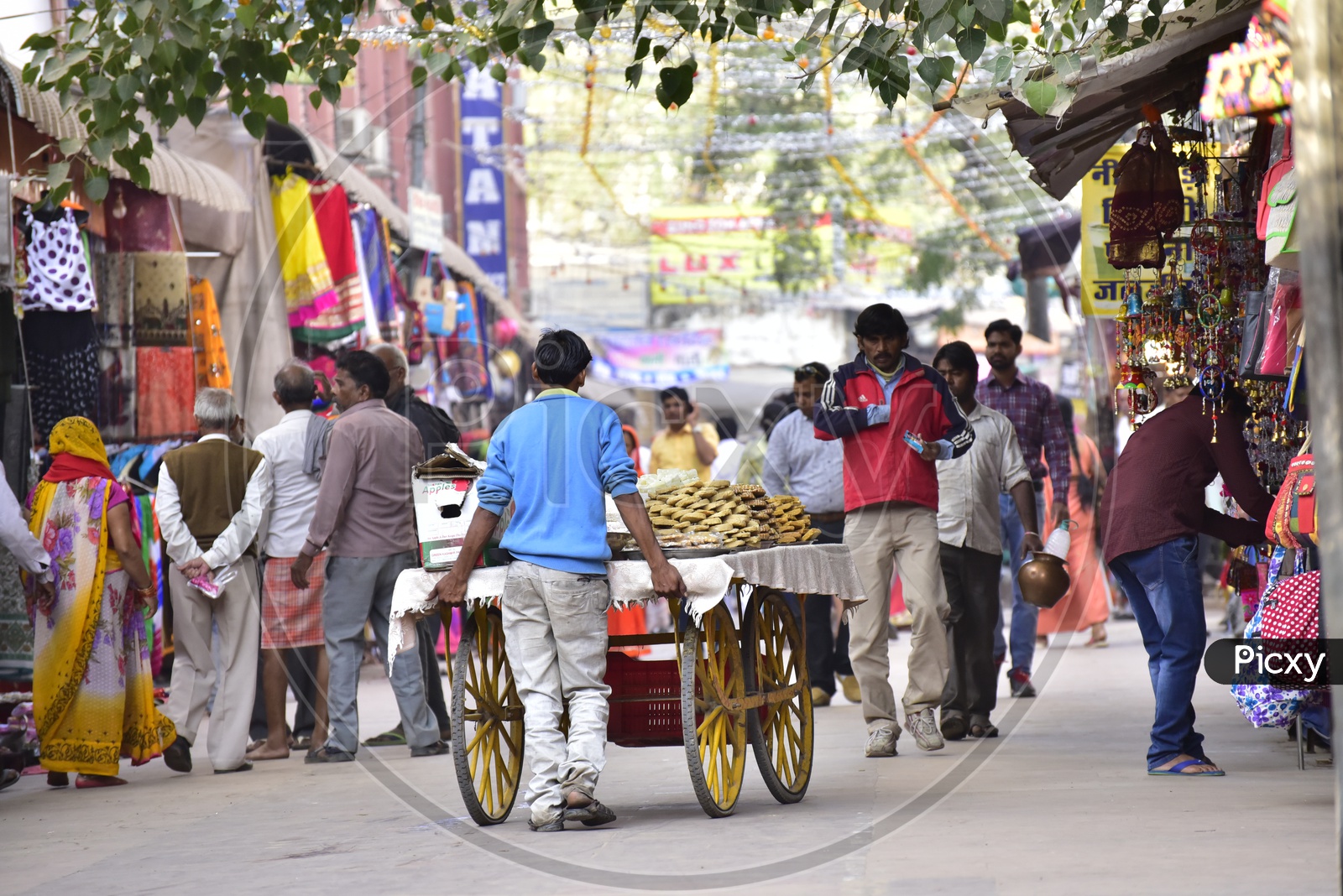 Street Shopping at Pushkar Camel Fair, 2018