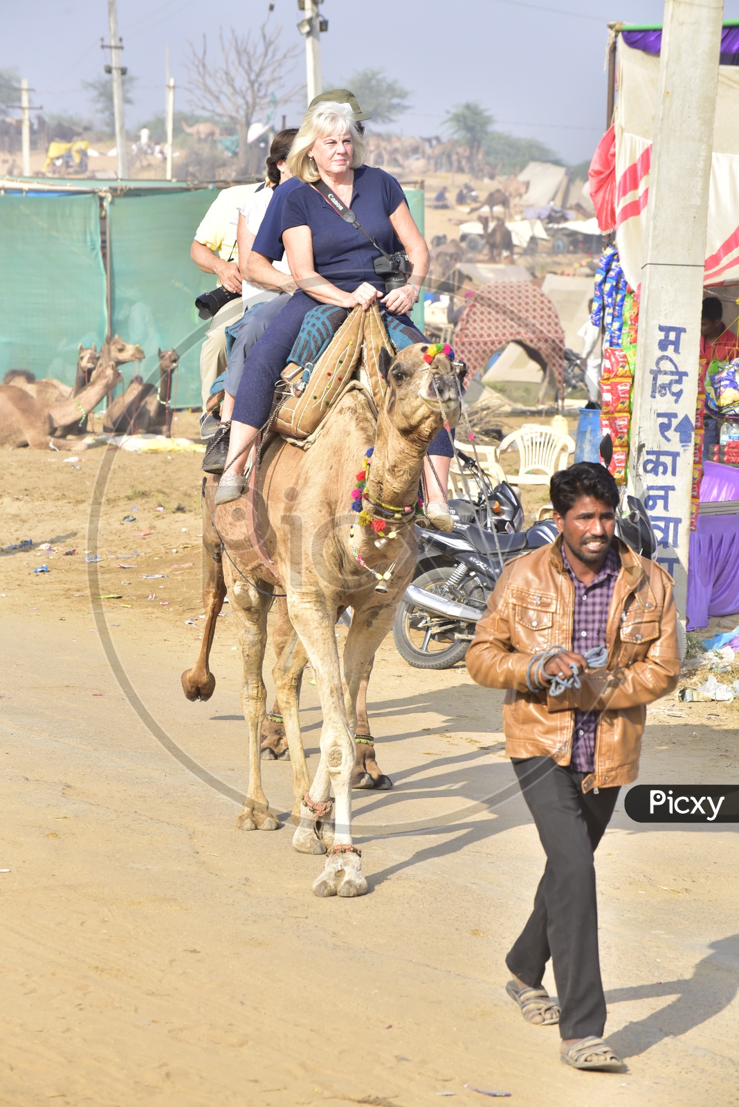Foreigner enjoying the Camel ride at Pushkar Camel Fair, 2018