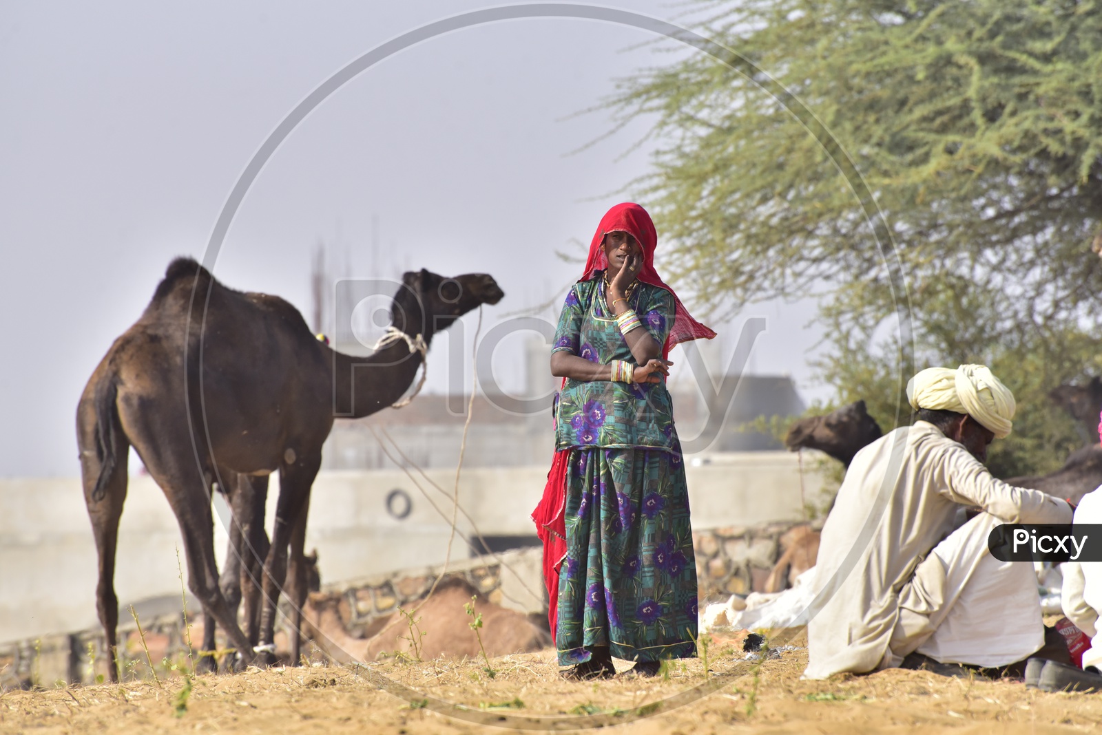 Woman at Pushkar Camel Fair