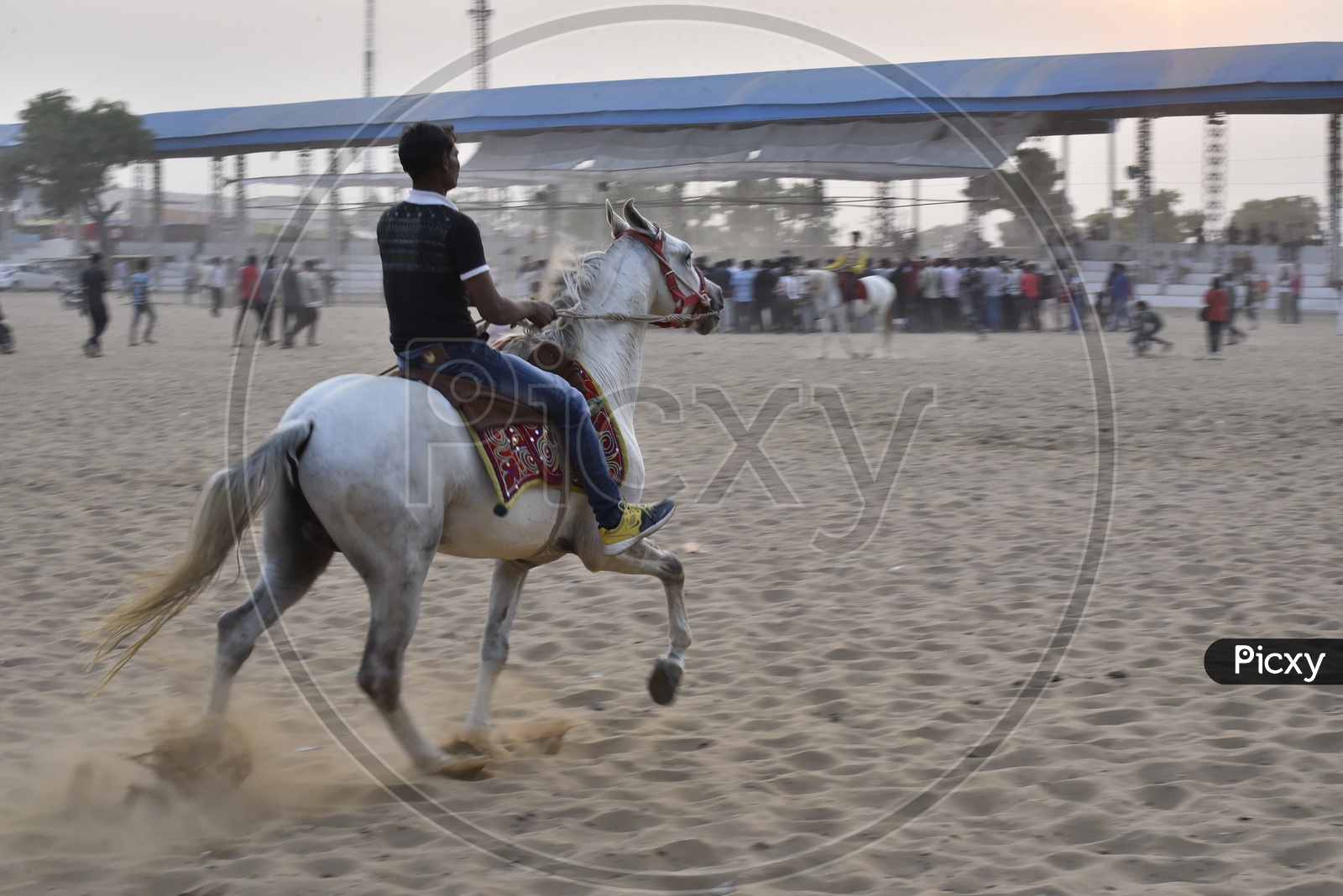 Horse Race at Pushkar Camel Fair, 2018