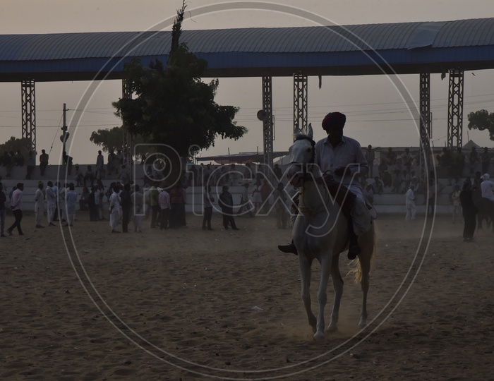 Horse race at Pushkar Camel Fair, 2018
