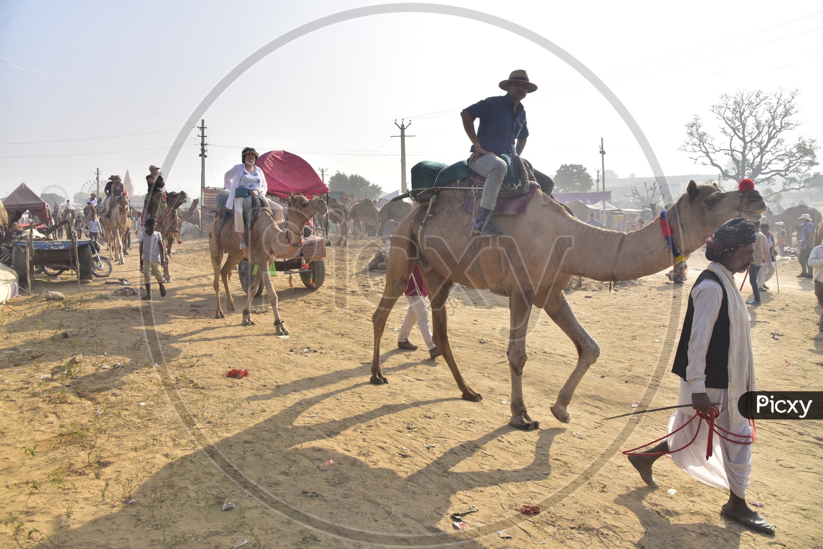 Visitors Riding Camels at Pushkar Camel Fair, 2018