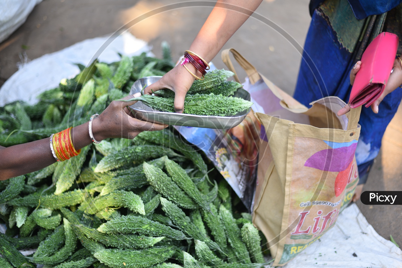 Woman buying Bitter Gourd at Local Vegetable Market/Rythu Bazar