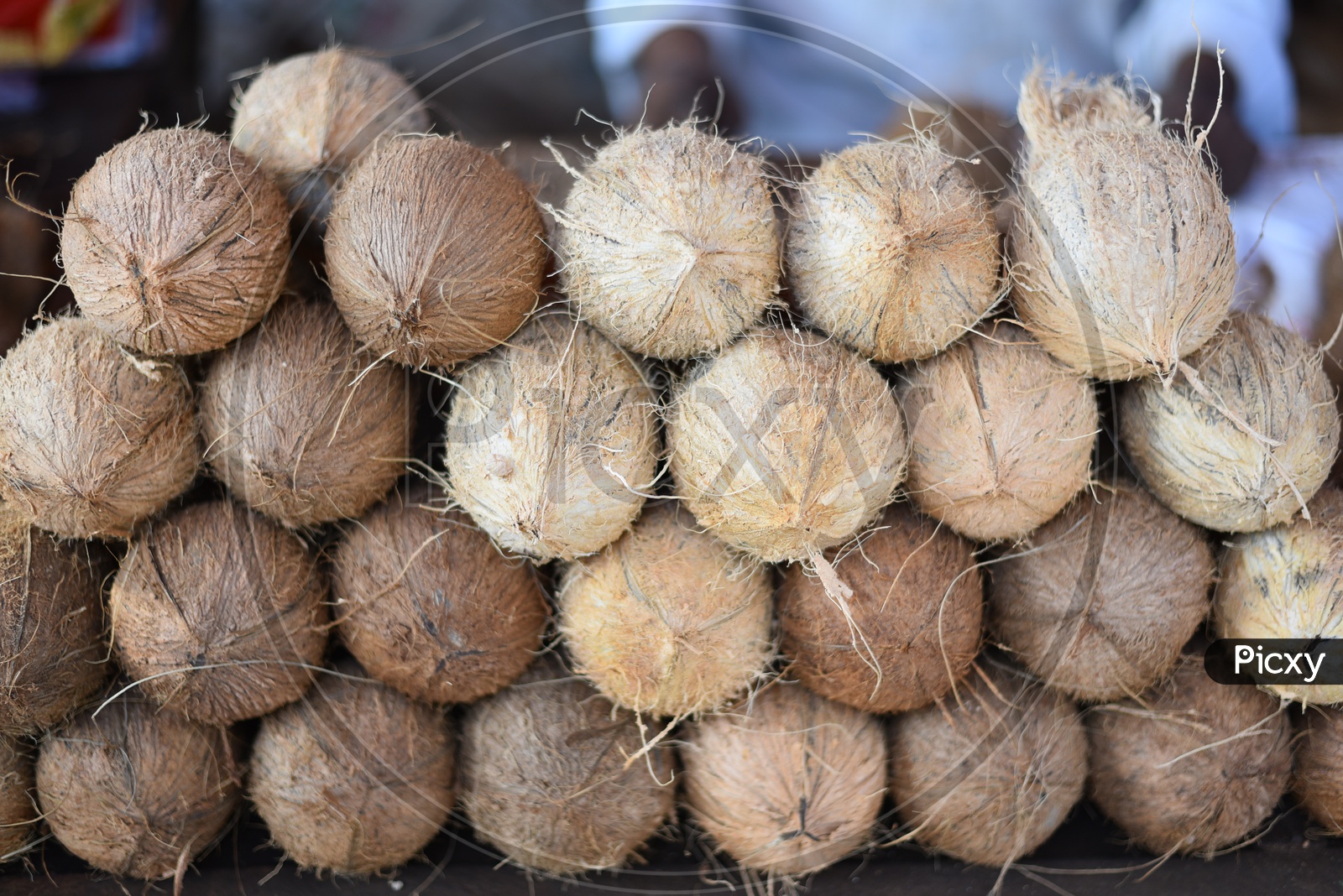 Coconut at Local Vegetable Market/Rythu Bazar