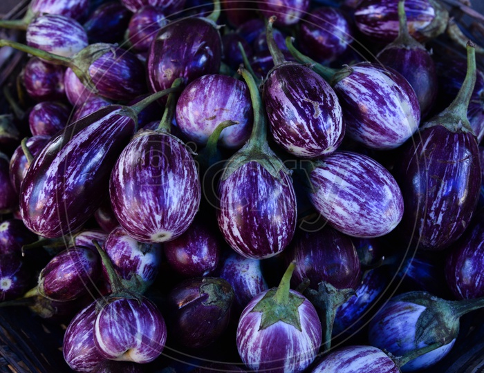 Vegetables - Purple Brinjal at Local Market/Rythu Bazar