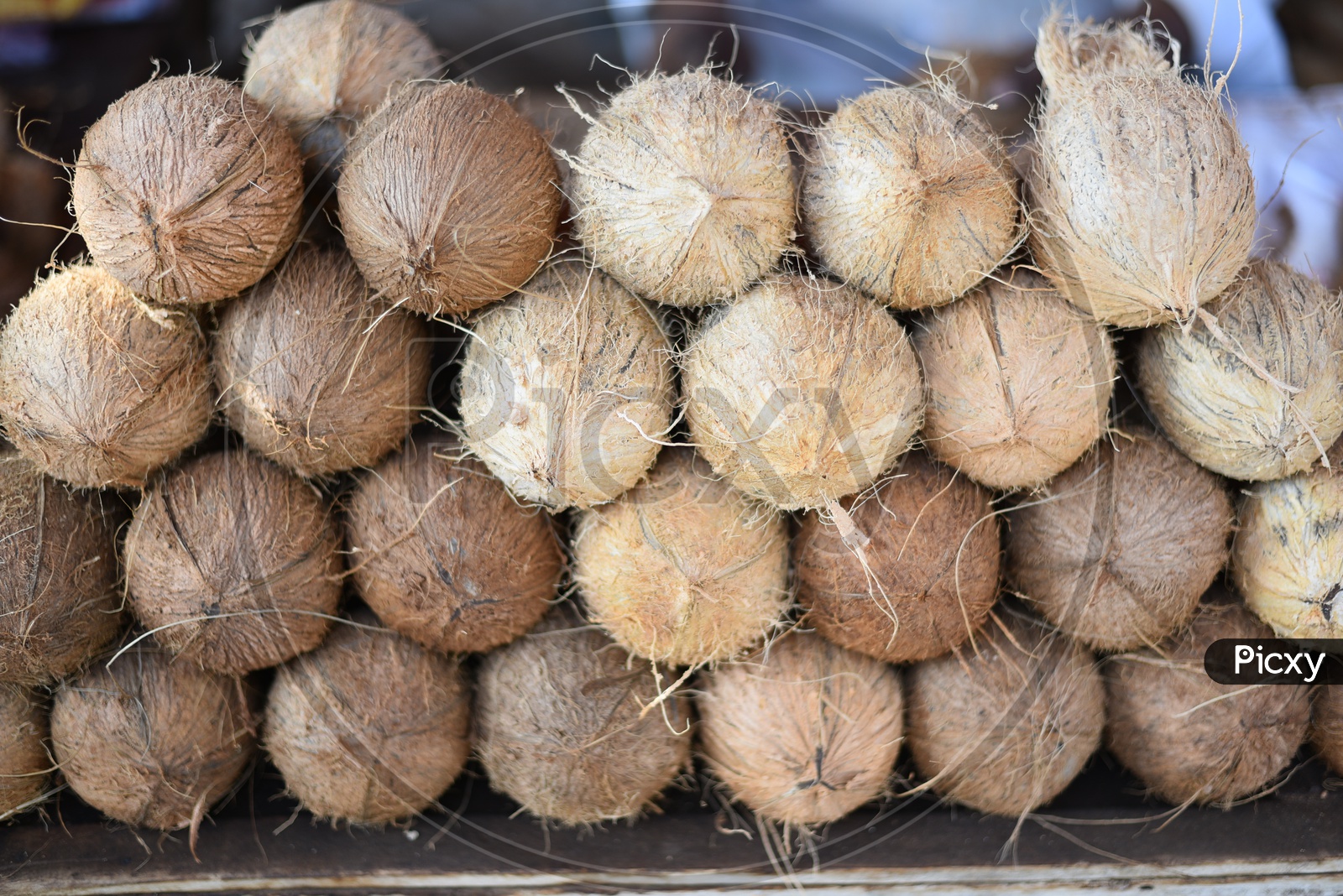 Stacked up Coconuts at Local Vegetable Market/Rythu Bazar