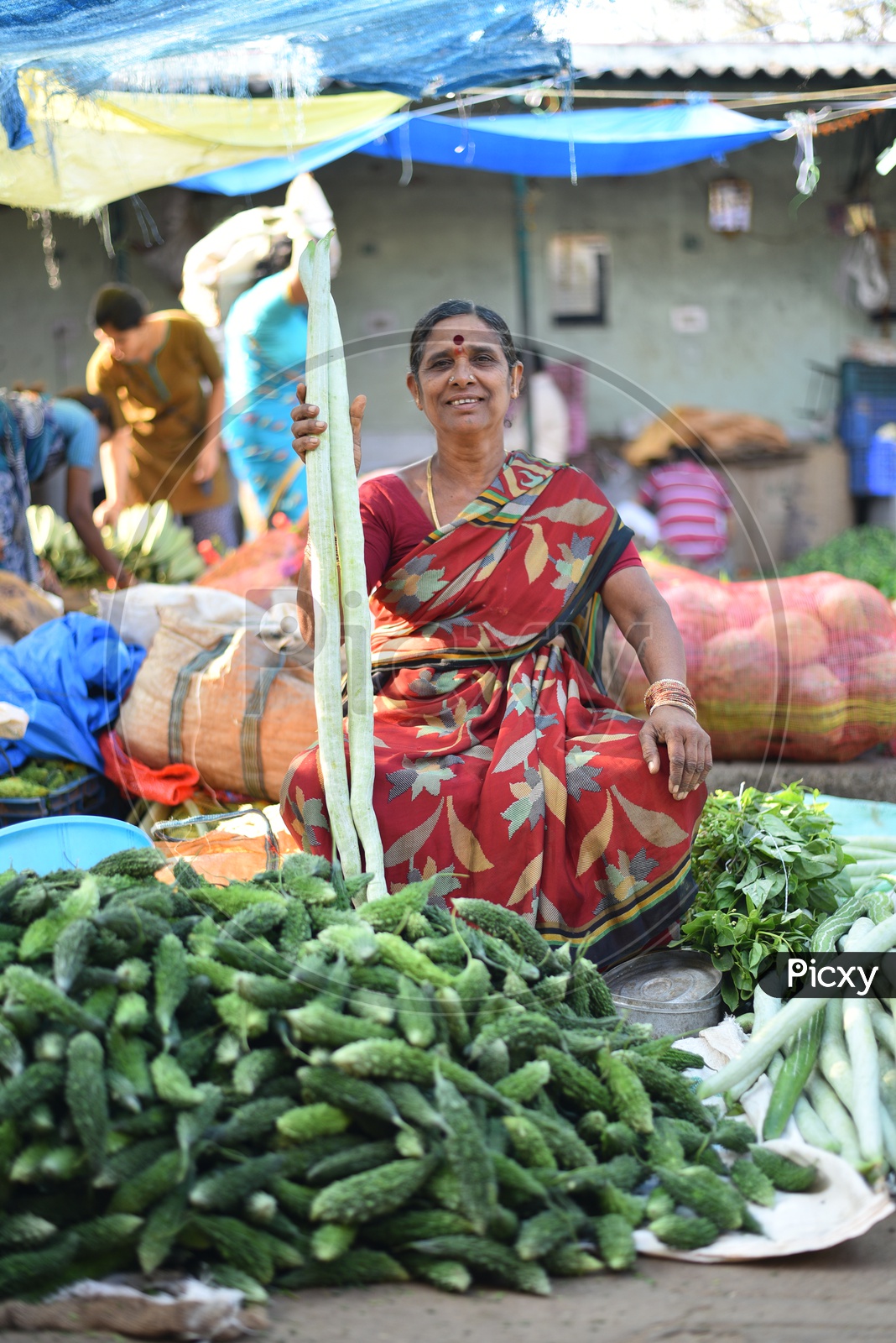 Vegetable Seller holding snake gourd at Local Market/Rythu Bazar