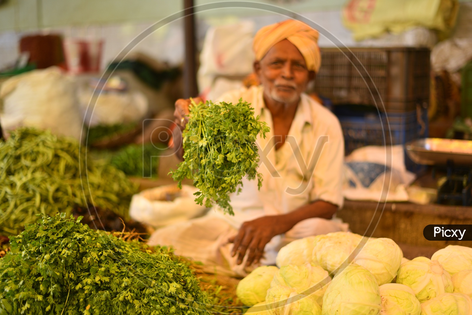 Coriander Seller at Local Vegetable Market/Rythu Bazar