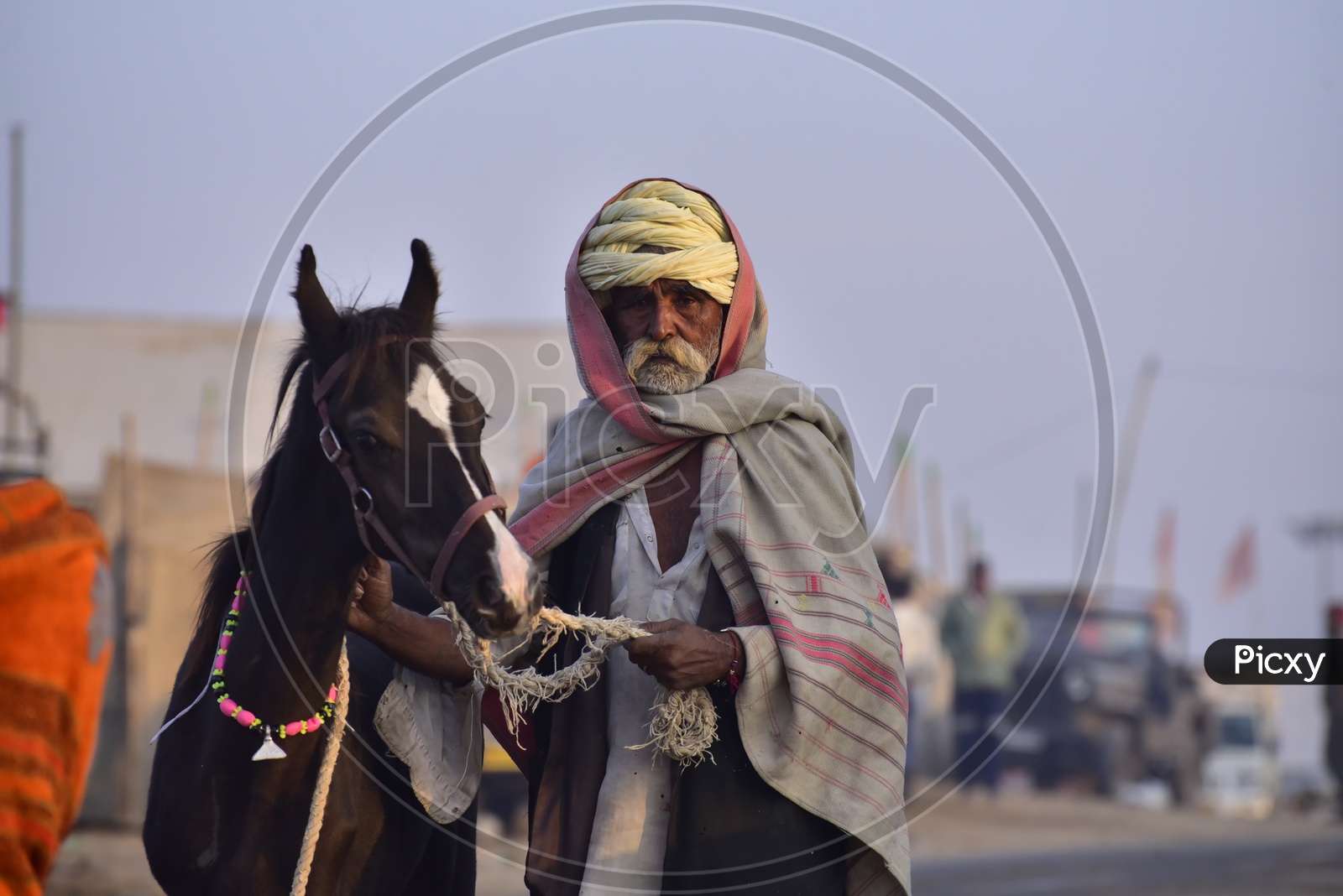 Rajasthani Men with a Horse at Pushkar Camel Fair, 2018