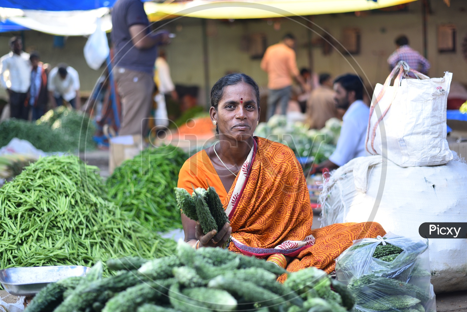 Vegetable Seller at Local Market/Rythu Bazar