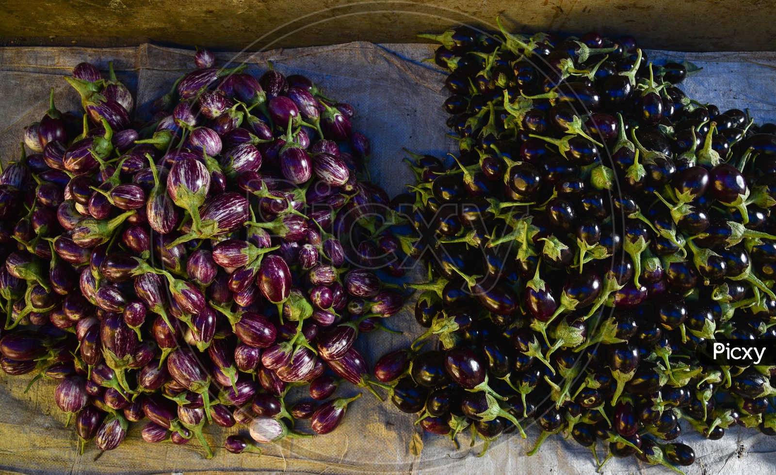 Vegetables - Purple Brinjal at Local Market/Rythu Bazar