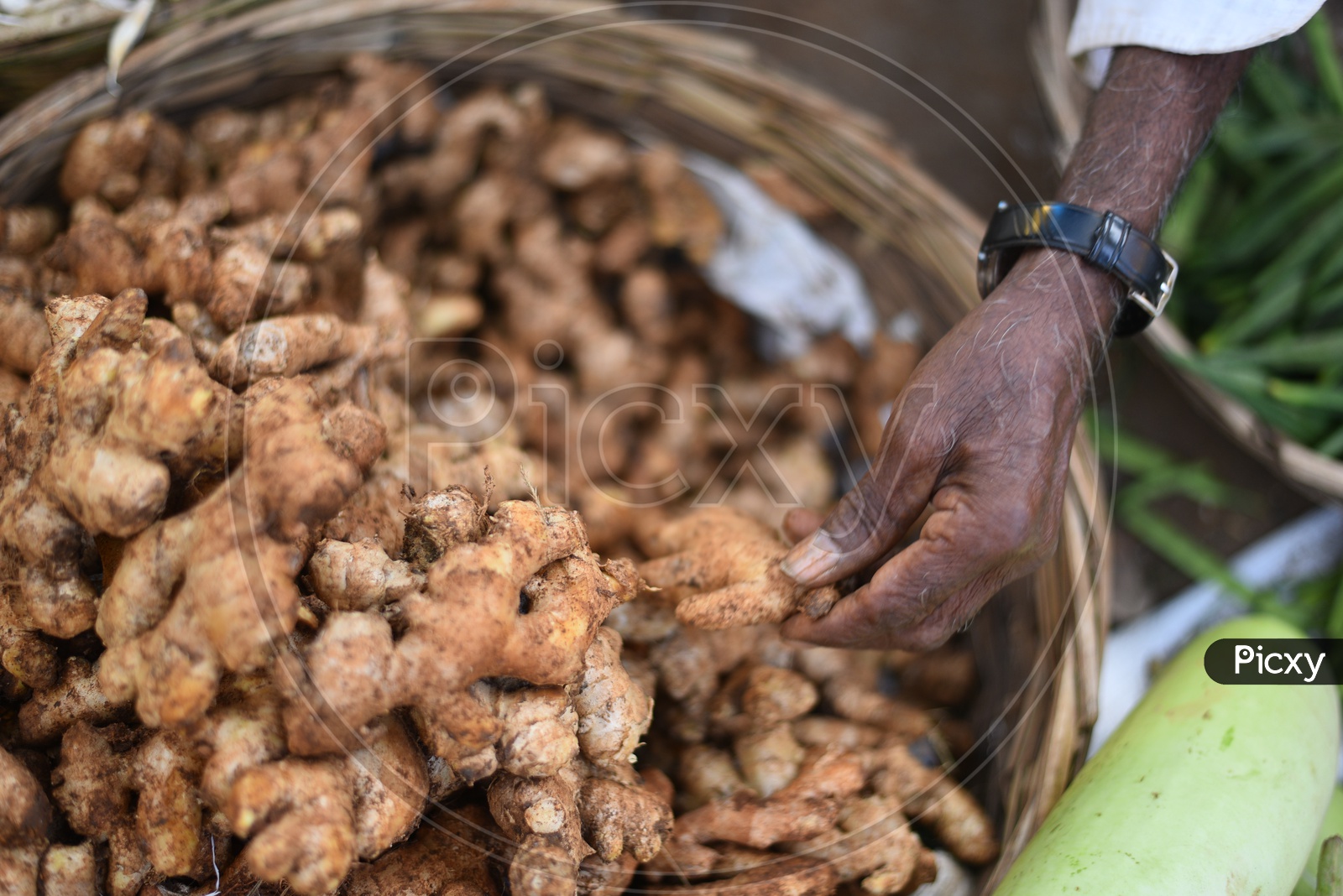 Ginger at Local Vegetable Market/Rythu Bazar