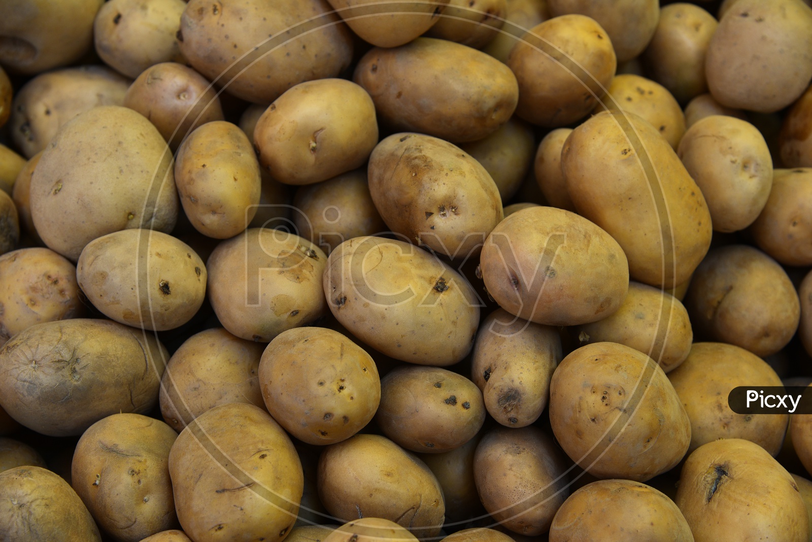 Potatoes at Local Vegetable Market/Rythu Bazar