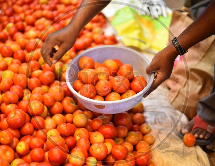 Tomato/Tomatoes at Local Vegetable Market/Rythu Bazar
