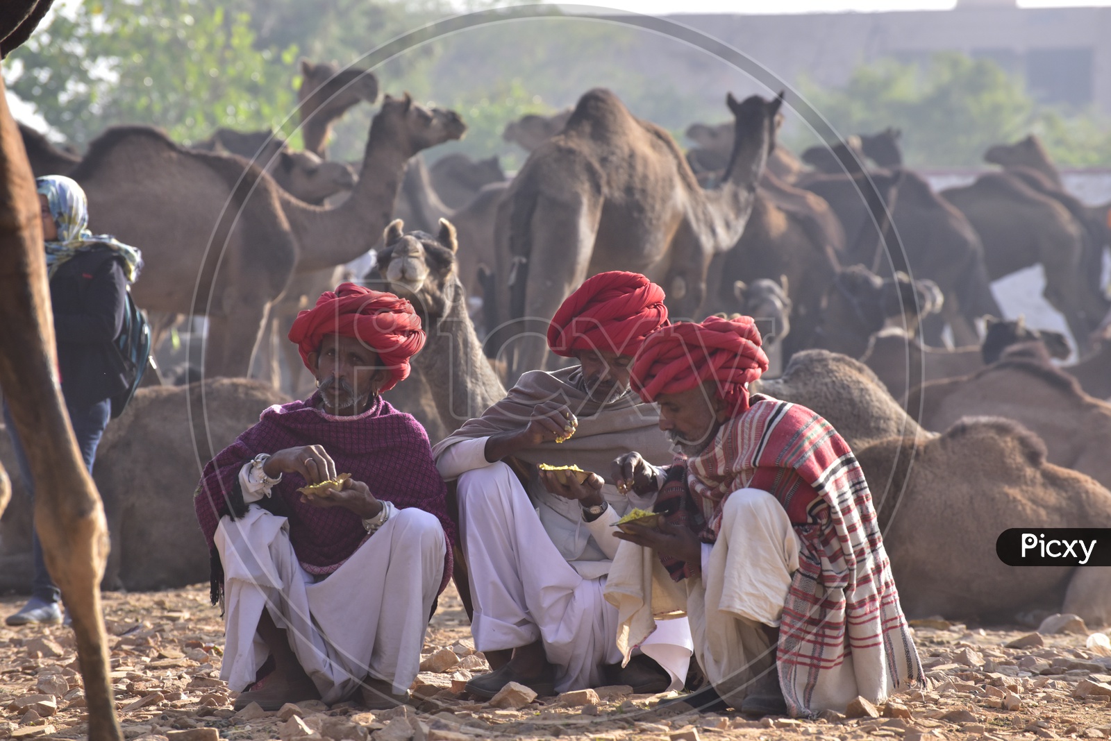 Rajasthani Men in Traditional Attire