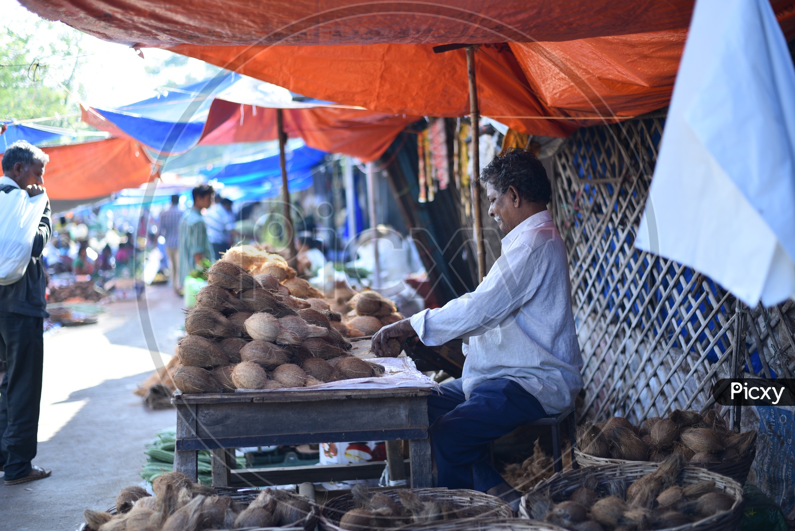 Coconut Seller at Local Vegetable Market/Rythu Bazar